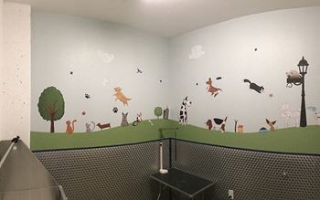 Pet Spa